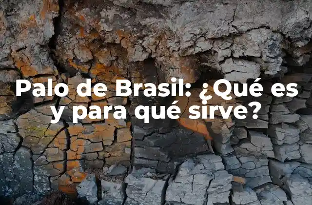 Palo de Brasil: ¿qué es y para Qué Sirve? 2 Propiedades medicinales del Palo de Brasil
