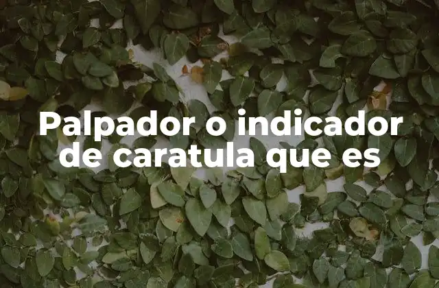 Palpador o Indicador de Caratula que es