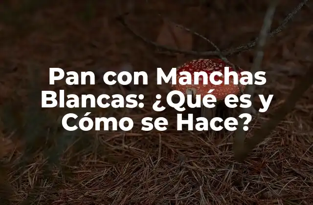 Pan con Manchas Blancas: ¿qué es y Cómo Se Hace?