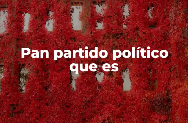 Pan Partido Político que es