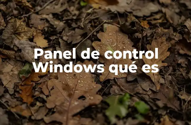 Panel de Control Windows Qué es