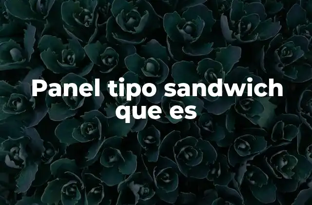 Panel Tipo Sandwich que es