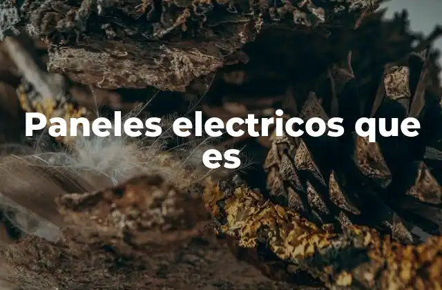 Paneles Electricos que es 2 Componentes esenciales de un sistema eléctrico moderno