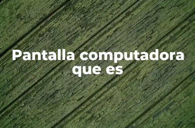 Pantalla Computadora que es