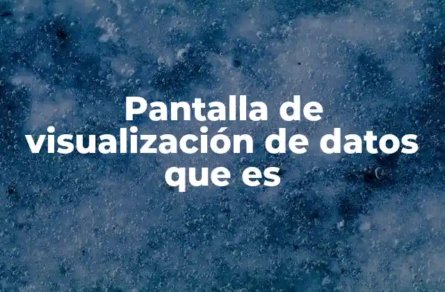 Pantalla de Visualización de Datos que es