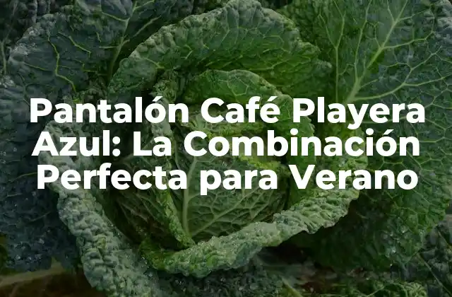 Pantalón Café Playera Azul: la Combinación Perfecta para Verano