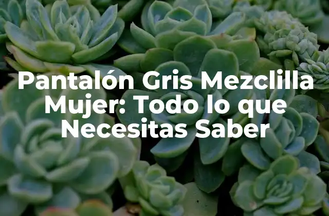 Pantalón Gris Mezclilla Mujer: Todo Lo que Necesitas Saber