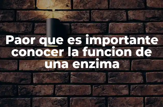 Paor que es Importante Conocer la Funcion de una Enzima