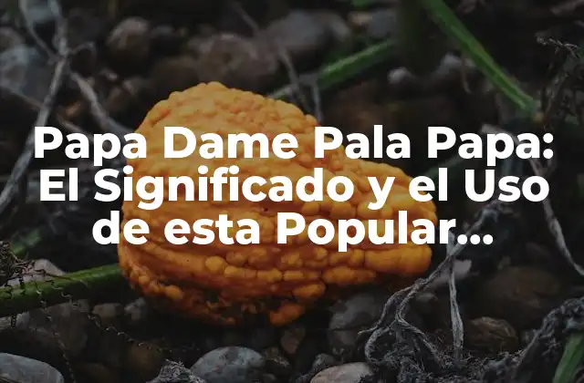 Papa Dame Pala Papa: el Significado y el Uso de Esta Popular Expresión