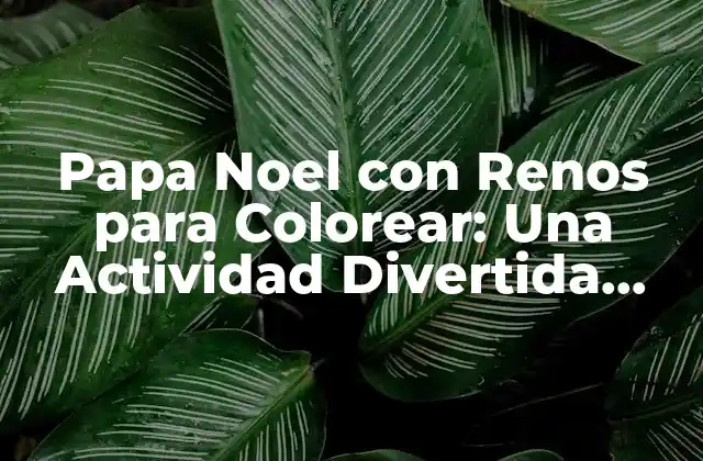 Papa Noel con Renos para Colorear: una Actividad Divertida para Niños 2 ¿Por qué Colorear es una Actividad Beneficiosa para los Niños?