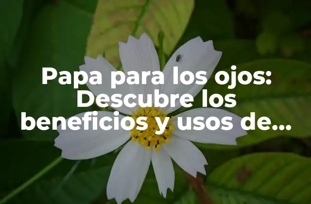 Papa para los Ojos: Descubre los Beneficios y Usos de Esta Planta Natural
