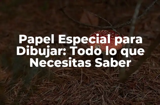 Papel Especial para Dibujar: Todo Lo que Necesitas Saber