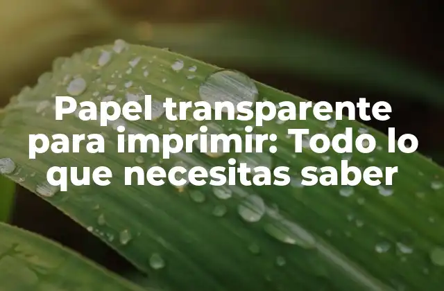 Papel Transparente para Imprimir: Todo Lo que Necesitas Saber