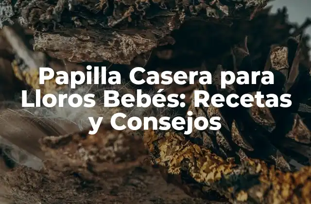 Papilla Casera para Lloros Bebés: Recetas y Consejos