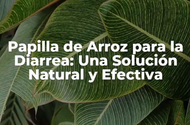 Papilla de Arroz para la Diarrea: una Solución Natural y Efectiva