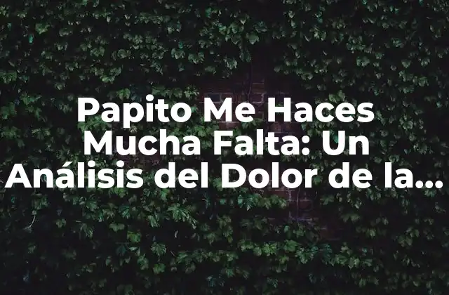 Papito Me Haces Mucha Falta: un Análisis Del Dolor de la Pérdida