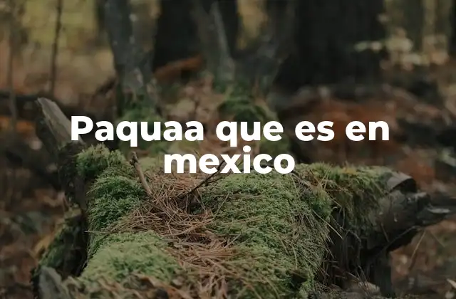 Paquaa que es en Mexico