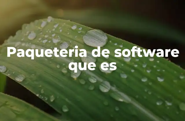 Paqueteria de Software que es