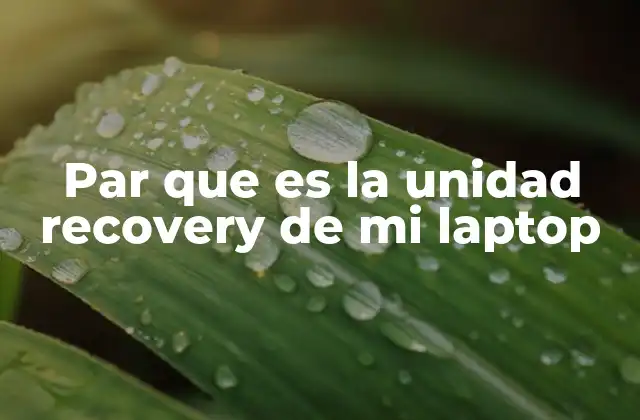 Par que es la Unidad Recovery de Mi Laptop