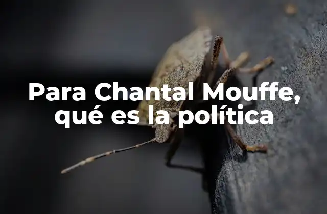 Para Chantal Mouffe, Qué es la Política 2 La política como lenguaje de los conflictos