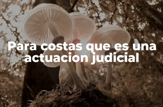 Para Costas que es una Actuacion Judicial