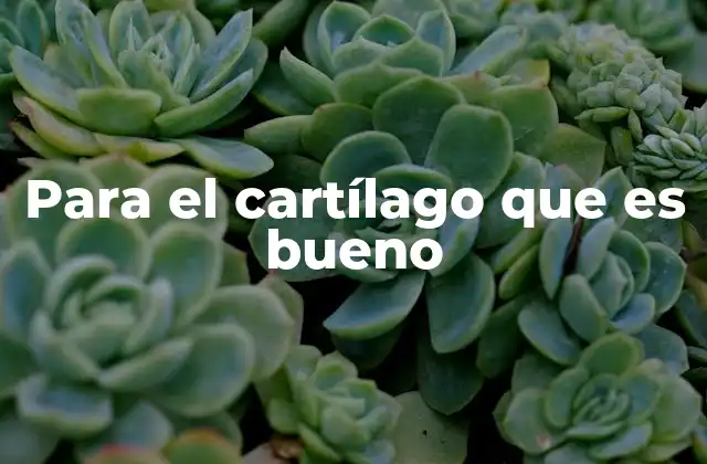 Para el Cartílago que es Bueno