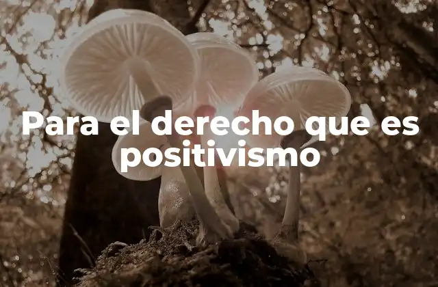 Para el Derecho que es Positivismo 2 El positivismo jurídico como una base para el orden social