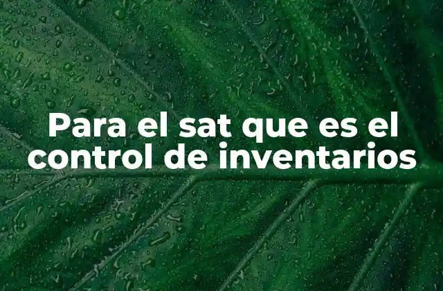 Para el Sat que es el Control de Inventarios 2 El papel del control de inventarios en la gestión empresarial