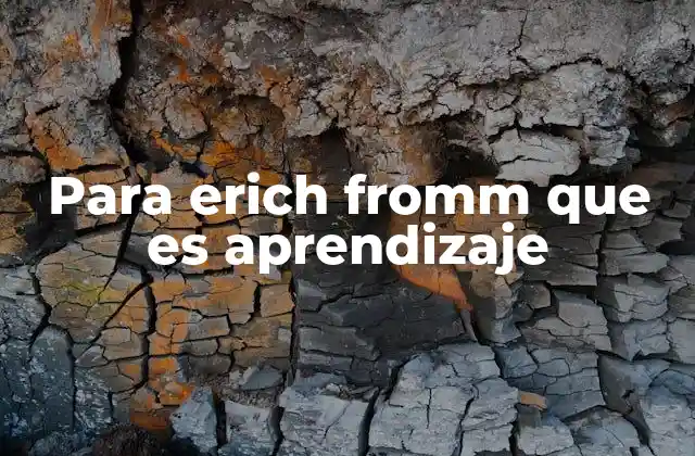 La relación entre el aprendizaje y la libertad en la teoría frommiana