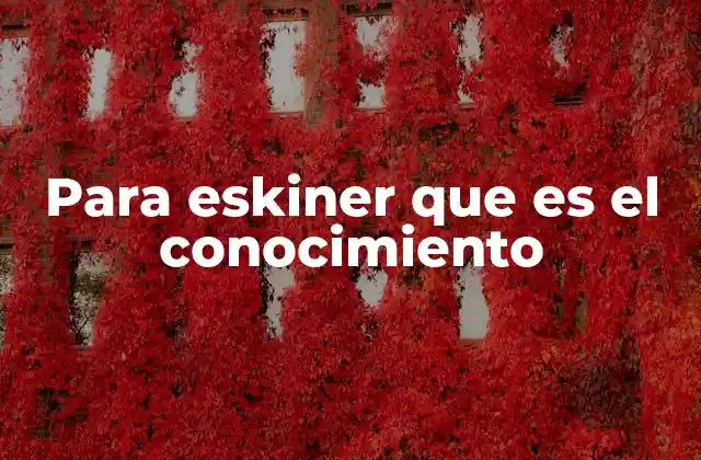 Para Eskiner que es el Conocimiento 2 La importancia del equilibrio en el desarrollo del conocimiento
