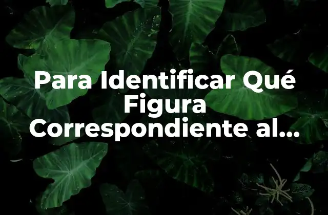 Para Identificar Qué Figura Correspondiente Al Nombre Se Debe 2 Importancia de la Identificación de Figuras en la Educación