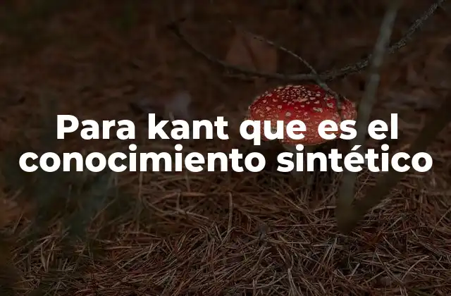 Para Kant que es el Conocimiento Sintético 2 El papel del conocimiento sintético en la filosofía de Kant
