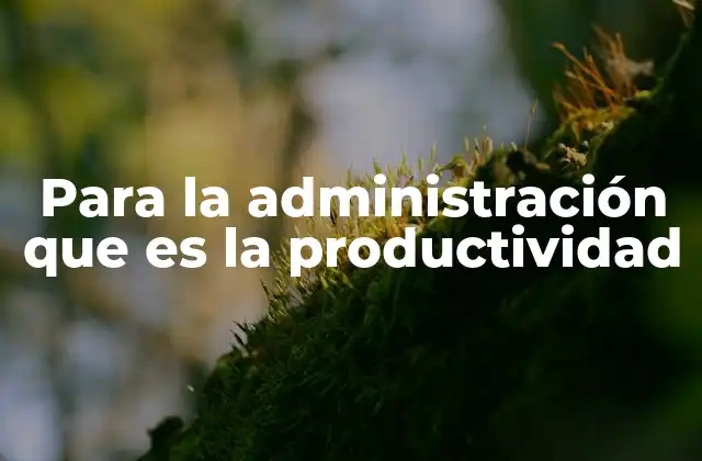 Para la Administración que es la Productividad