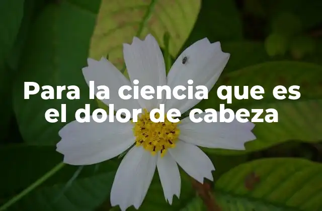Para la Ciencia que es el Dolor de Cabeza