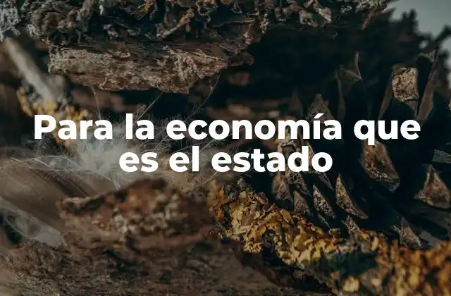 Para la Economía que es el Estado
