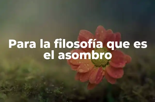 Para la Filosofía que es el Asombro