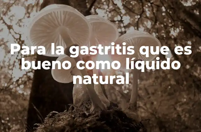 Para la Gastritis que es Bueno como Líquido Natural