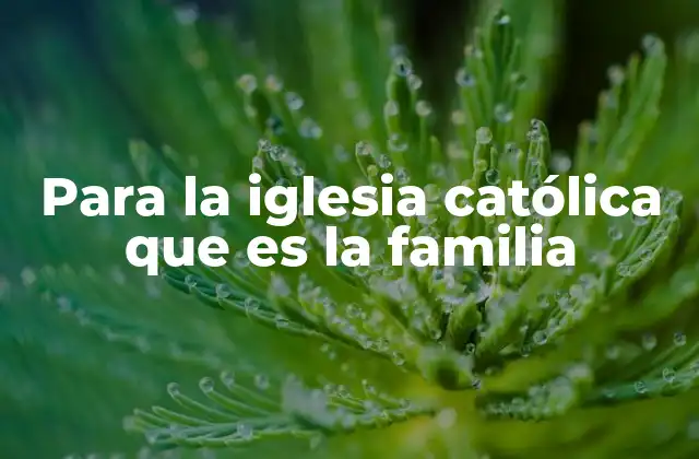 Para la Iglesia Católica que es la Familia