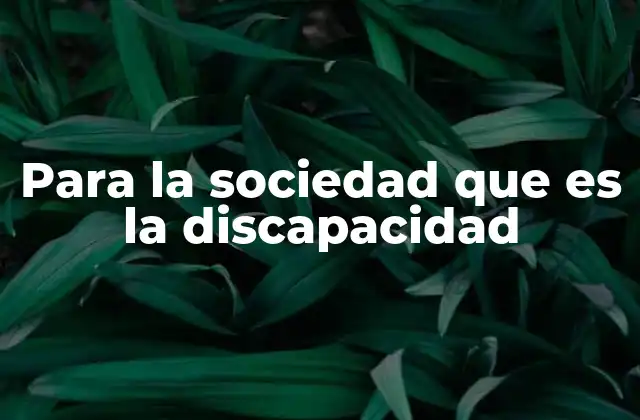 Para la Sociedad que es la Discapacidad