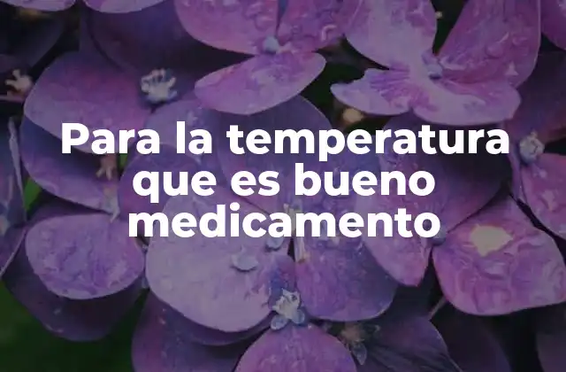 Cómo el cuerpo responde ante un aumento de temperatura