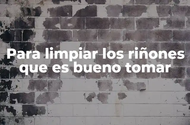 Para Limpiar los Riñones que es Bueno Tomar