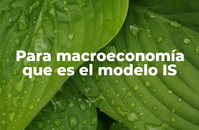 Para Macroeconomía que es el Modelo Is