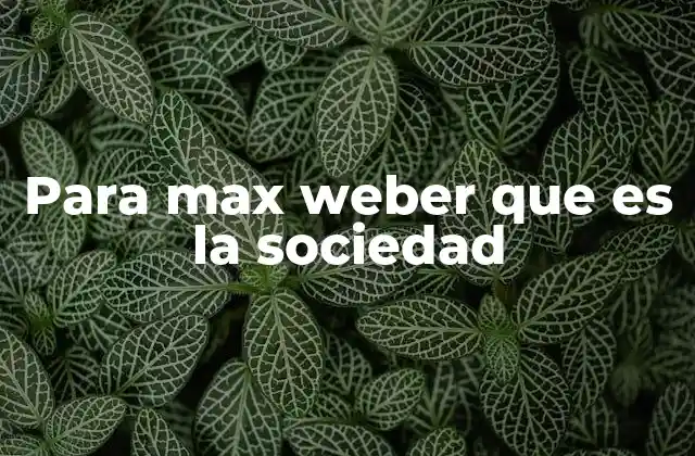 Para Max Weber que es la Sociedad