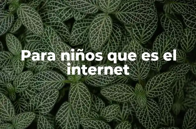 Para Niños que es el Internet