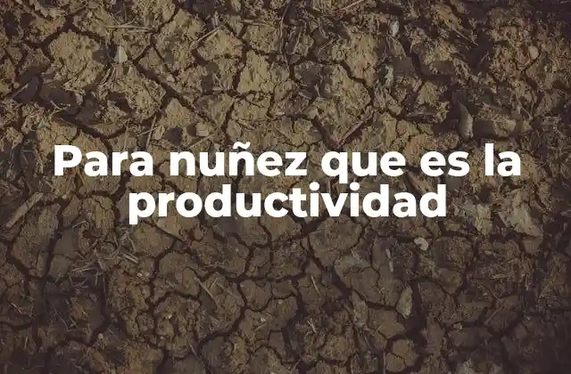 Para Nuñez que es la Productividad