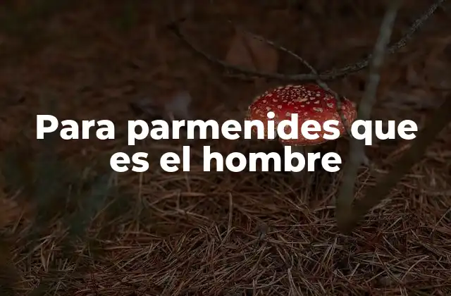 Para Parmenides que es el Hombre