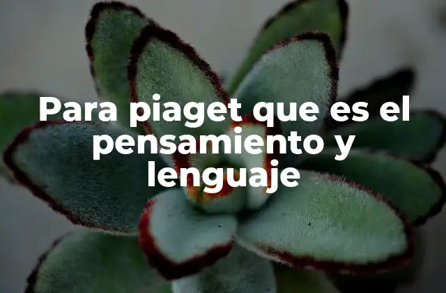 Para Piaget que es el Pensamiento y Lenguaje