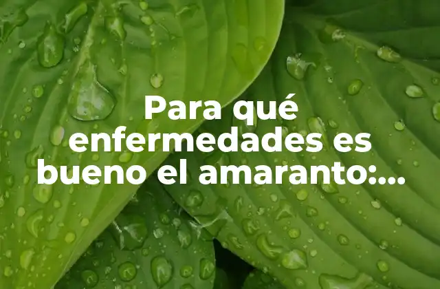 Para Qué Enfermedades es Bueno el Amaranto: Descubre los Beneficios Del Amaranto para la Salud