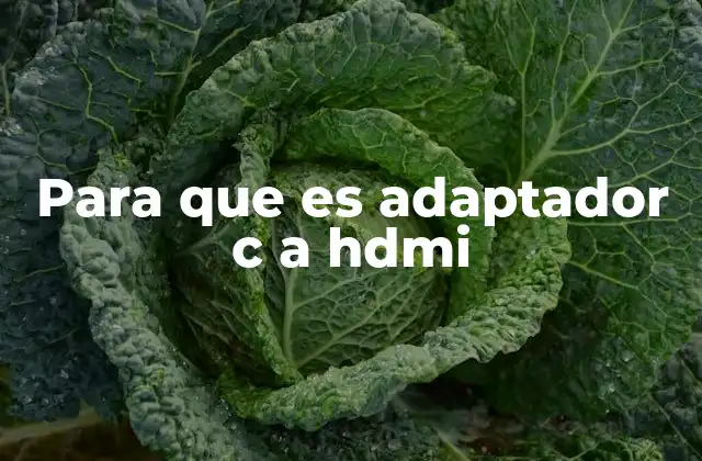 Para que es Adaptador C a Hdmi