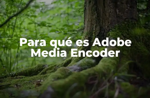 Para Qué es Adobe Media Encoder